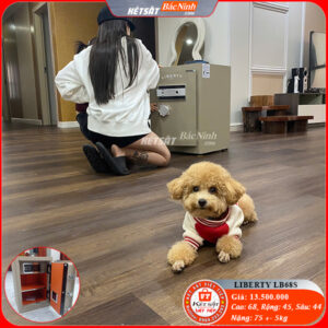 Đại Lý Két Sắt Uy Tín Tại Bắc Ninh – Két Sắt Việt Tiệp Bắc Ninh