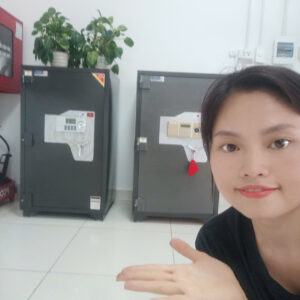 Đại Lý Két Sắt Uy Tín Tại Bắc Ninh – Két Sắt Việt Tiệp Bắc Ninh