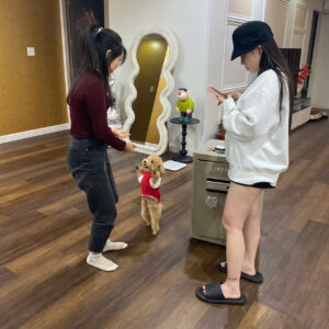 Đại Lý Két Sắt Uy Tín Tại Bắc Ninh – Két Sắt Việt Tiệp Bắc Ninh